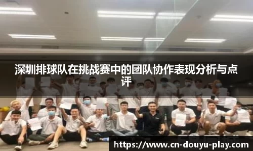 关键词4